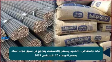 ثبات وانخفاض.. الحديد يستقر والأسمنت يتراجع في سوق مواد البناء بمصر الأربعاء 20 أغسطس 2025